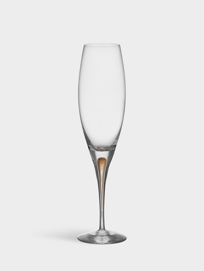 Intermezzo champagne glass gold 26cl 2-pack