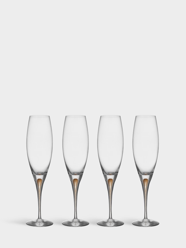Intermezzo champagne glass gold 26cl 4-pack